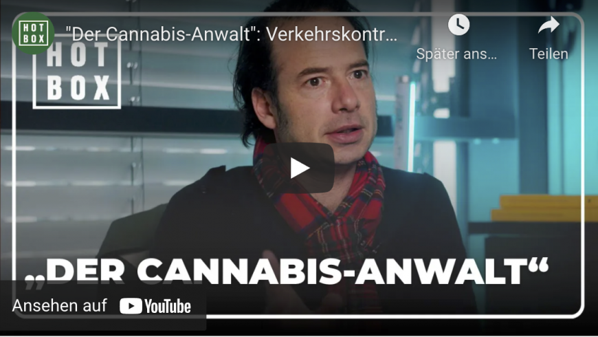 „Cannabis Anwalt“ Oliver Rabbat im Hotbox Interview