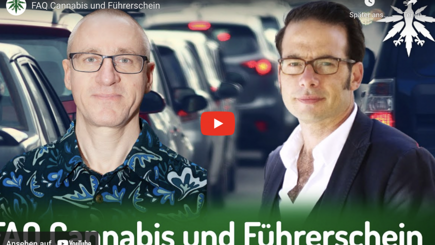 Neue THC-Grenzwerte und ihre Auswirkungen auf den Führerschein: Expertengespräch mit Georg Wurth vom Hanfverband